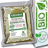 BEBÉ KOMBUCHA FRESCO, SCOBY KOMBUCHA - Con Registro Sanitario (RGSEAA) - Elabora Tu Propio Té de Kombucha Biológico en Casa