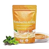 Kombucha scoby - Kit de inicio + consejos de preparación, guía de receta básica
